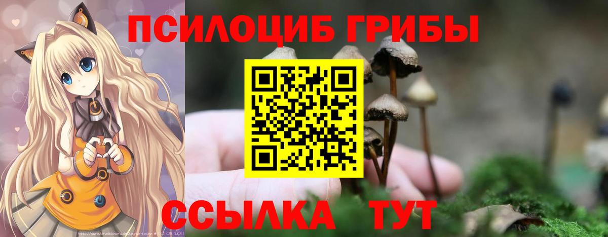 Галлюциногенные грибы MAGIC MUSHROOMS  Вход с VPN  Псилоцибиновые грибы GOLDEN TEACHER  Дедовск 